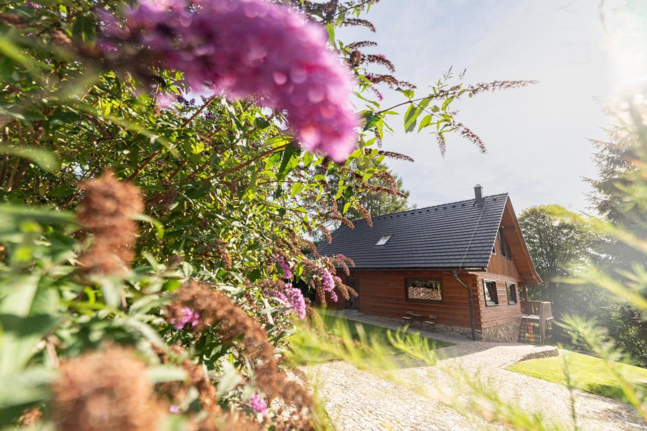 Villa Moderni Sumavska Roubenka S Vyhledem Na Boubin Vimperk Esterno foto